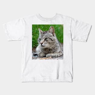 An elderly homeless cat Kids T-Shirt